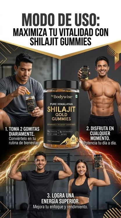 SHILAJIL GOMITAS